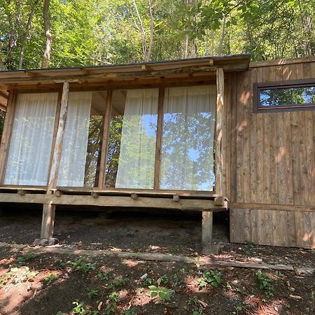 Suxen Nature Experience - Lodge Con Vista Panoramica Prepotto  Zewnętrze zdjęcie